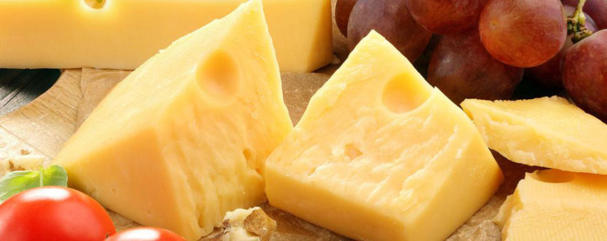 Сыр — король молочных продуктов